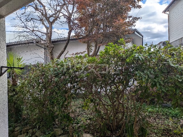 13/21 その他画像