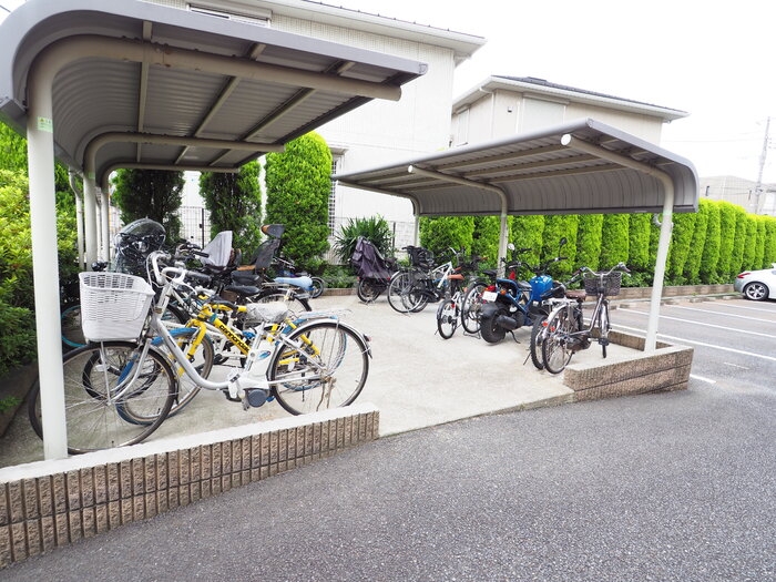 13/18 その他画像