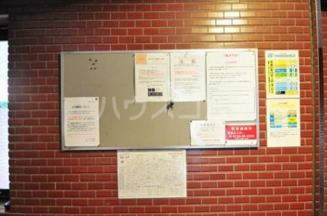 19/26 その他画像