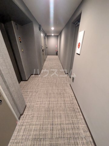 20/30 その他画像