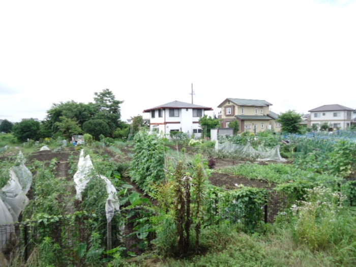 11/23 その他画像