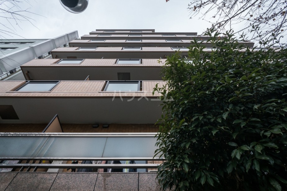 4/15 その他画像