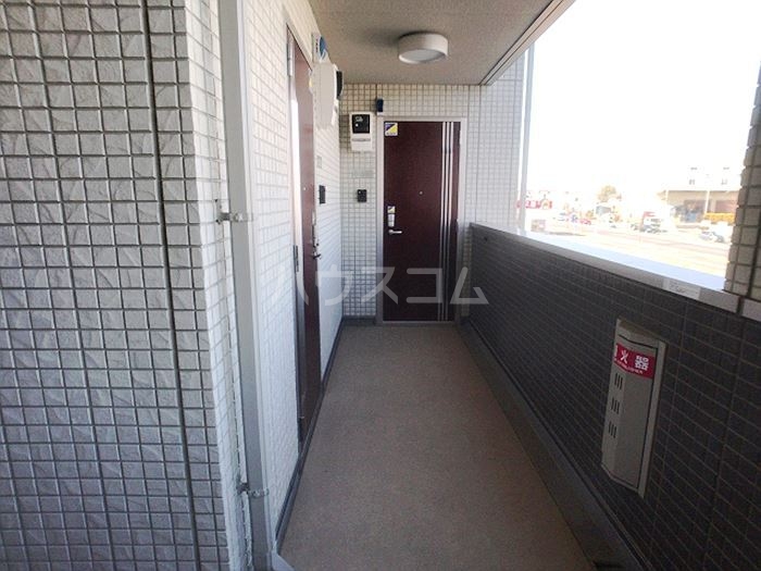 15/30 その他画像