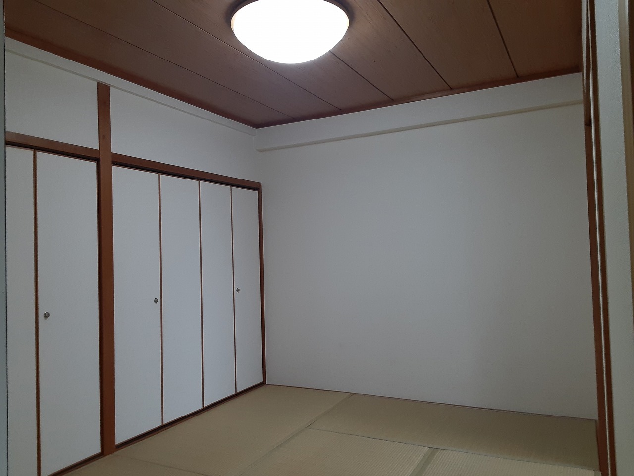 19/28 その他画像