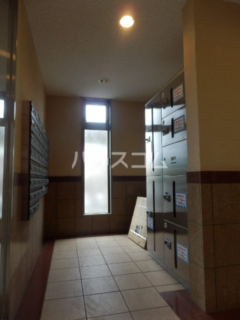 20/30 その他画像