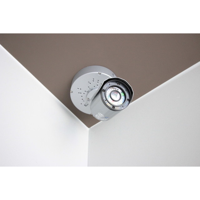 21/29 その他画像