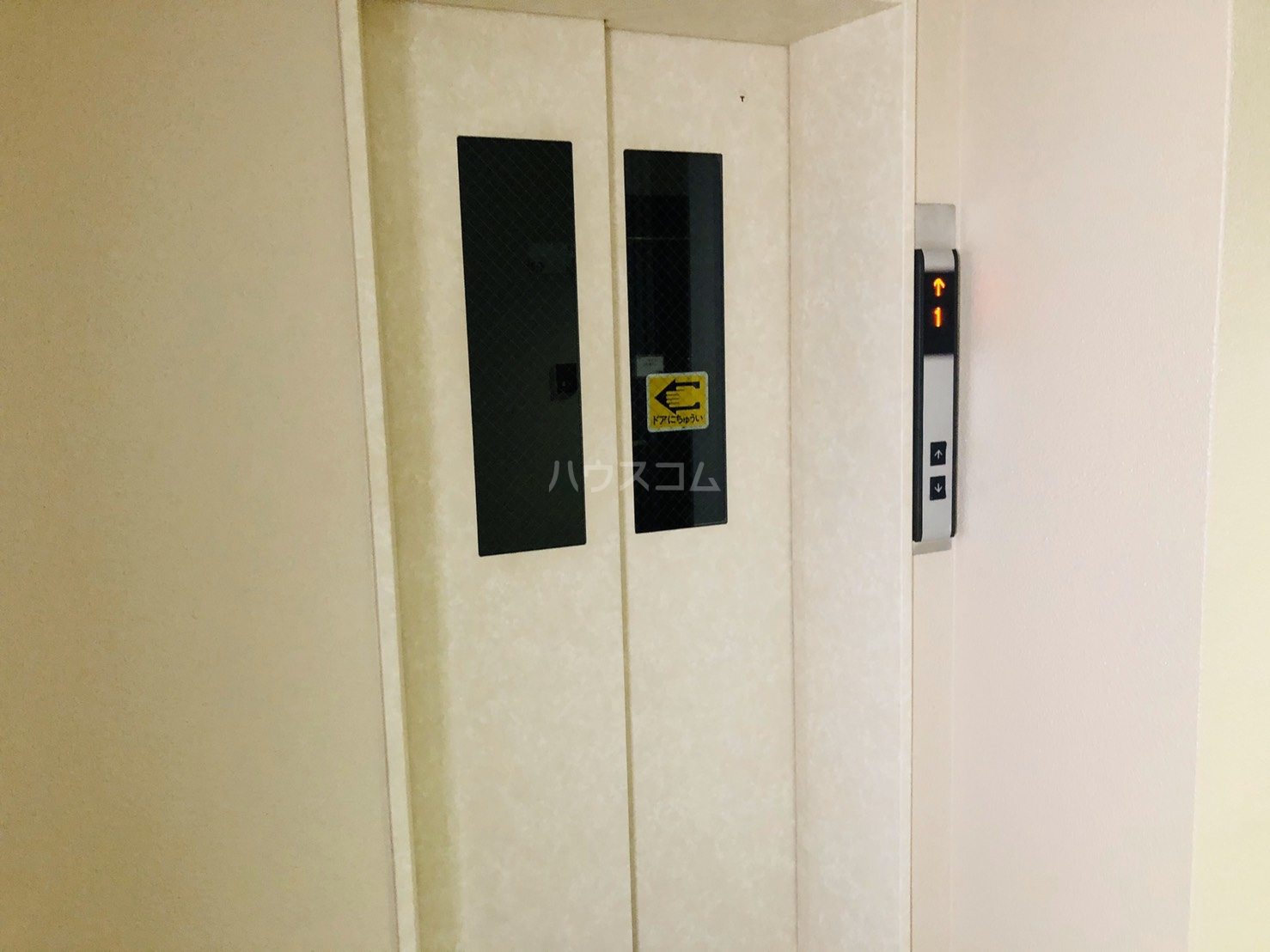 5/15 その他画像