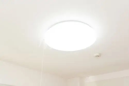 15/21 その他画像