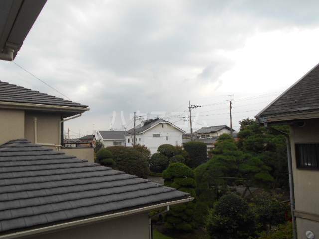 20/30 その他画像