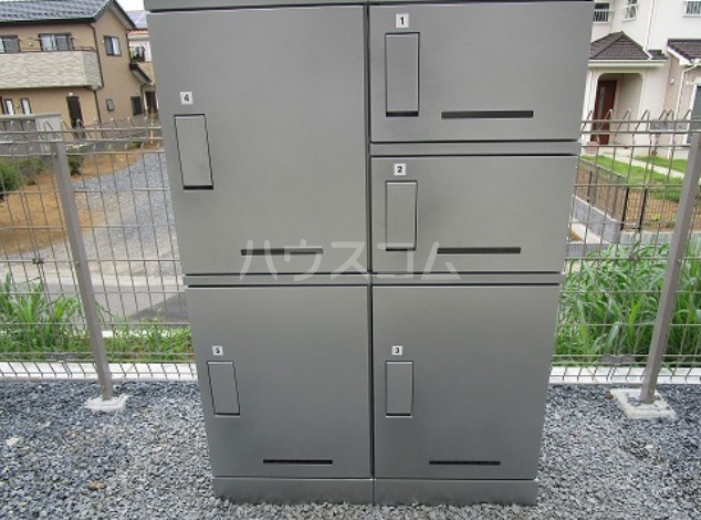 20/30 その他画像