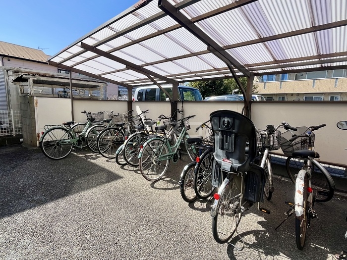 20/30 その他画像