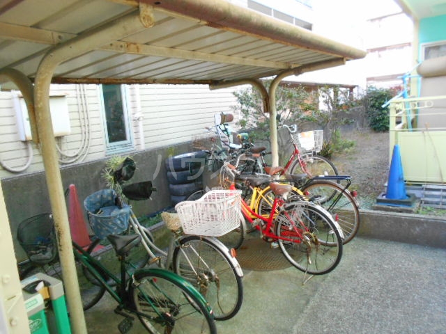 20/30 その他画像