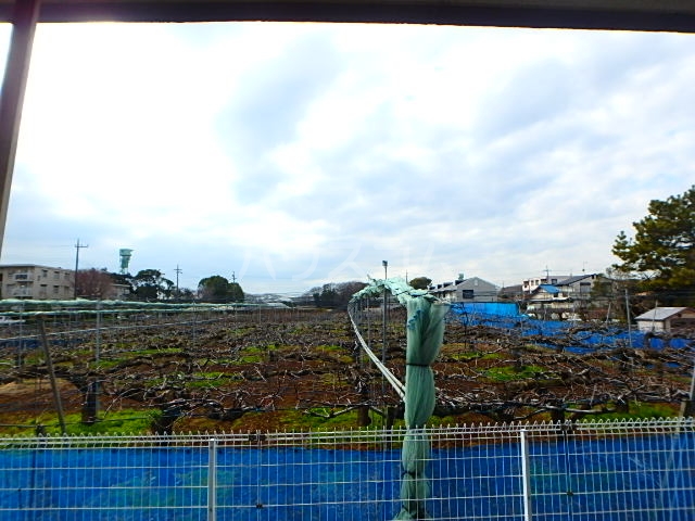 16/28 その他画像