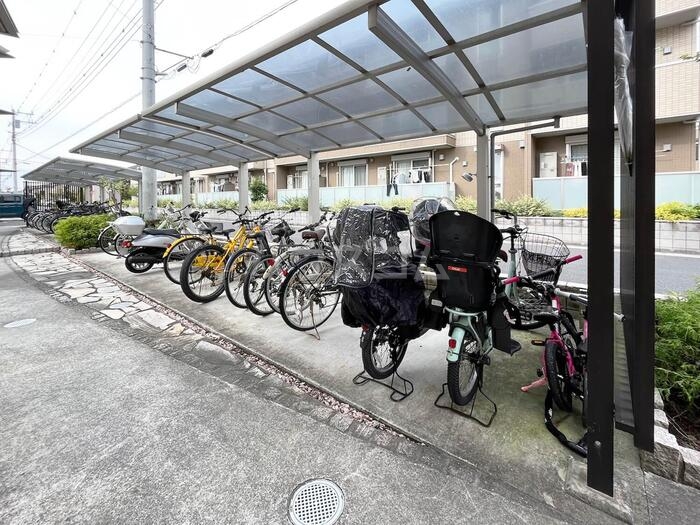 3/16 その他画像