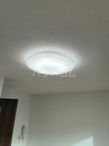 11/21 その他画像