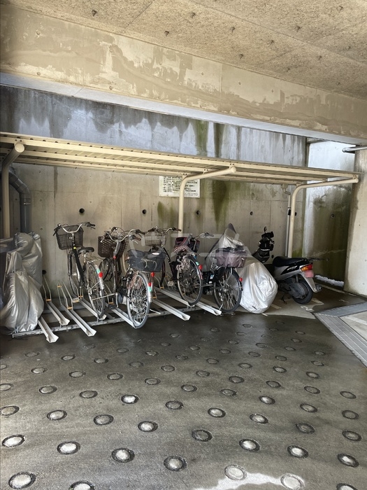 15/21 その他画像