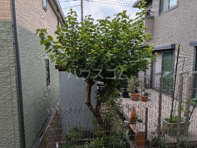 16/25 その他画像