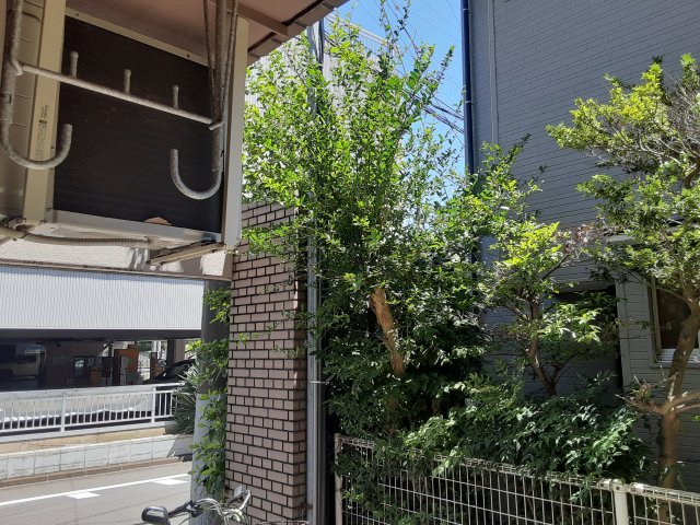 17/30 その他画像