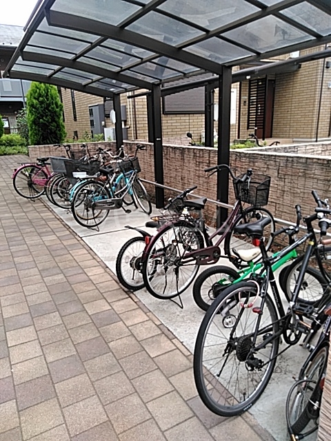 11/13 その他画像