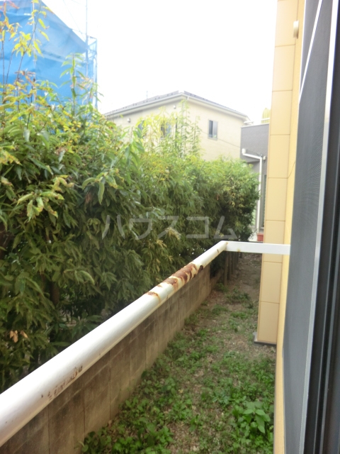 17/30 その他画像