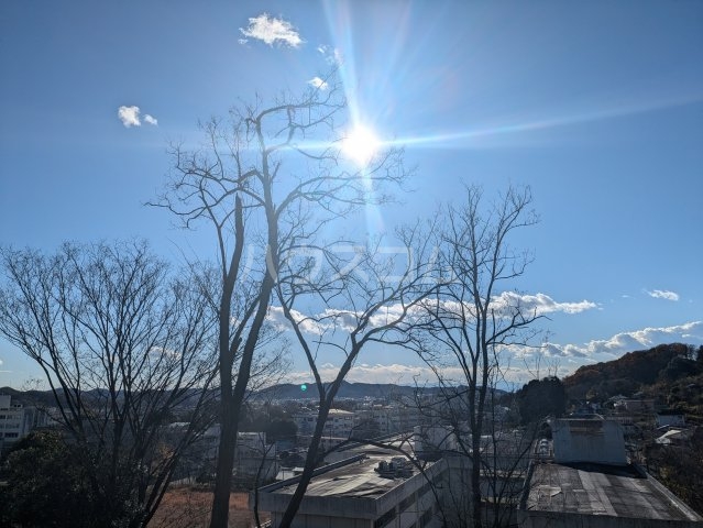 29/30 その他画像