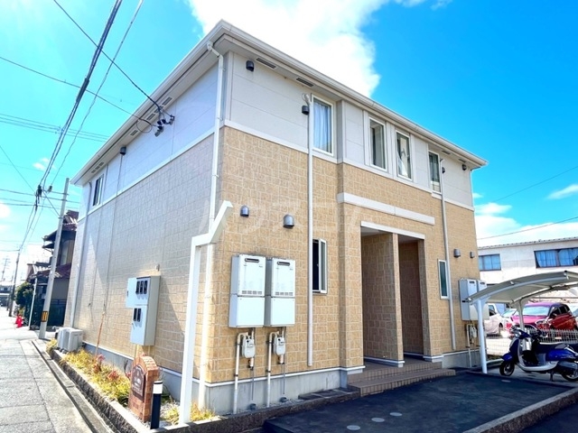 20/30 その他画像