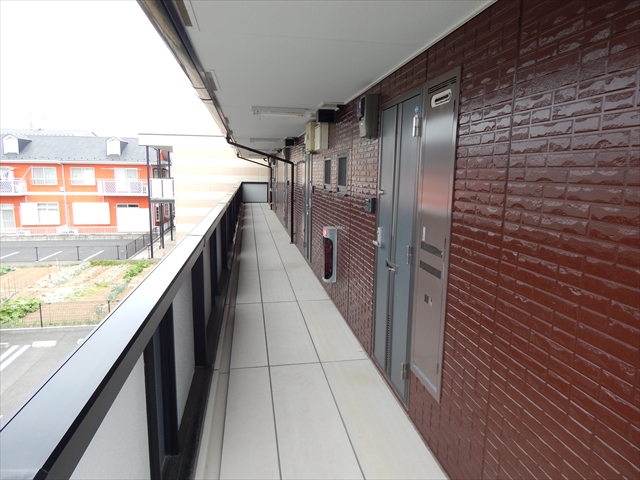 20/30 その他画像