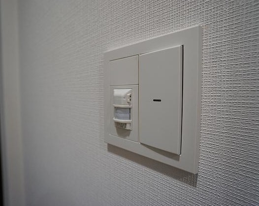 17/25 その他画像