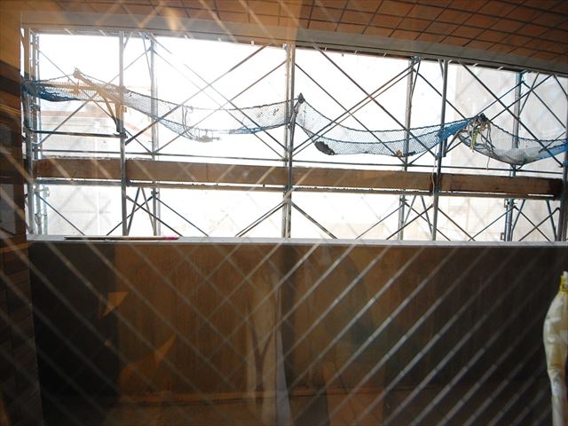 14/24 その他画像