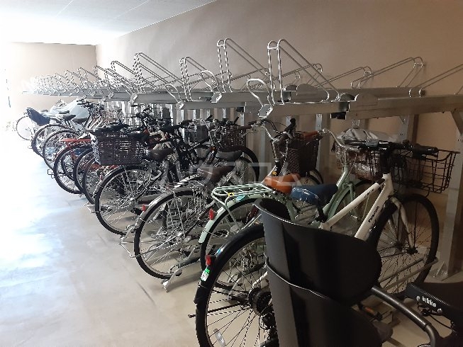 20/30 その他画像