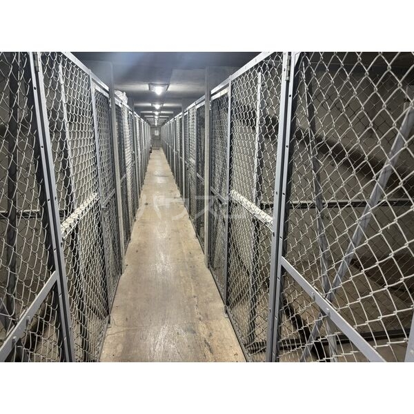 16/29 その他画像