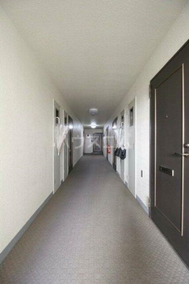 20/29 その他画像