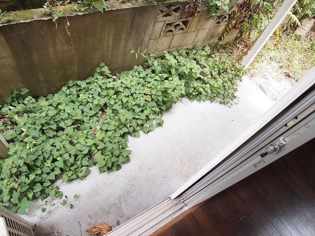 11/22 その他画像