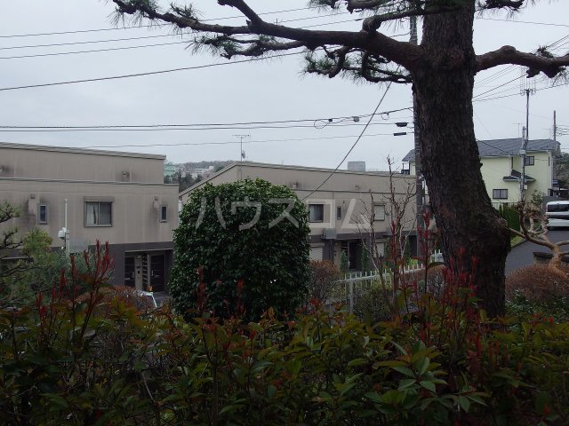 17/30 その他画像