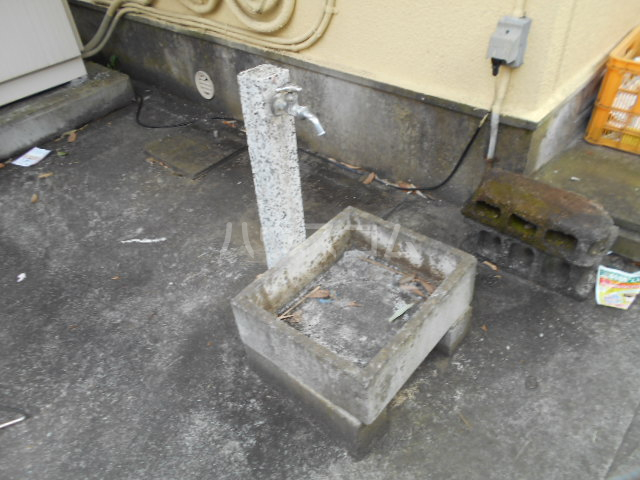 20/30 その他画像