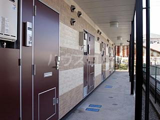 13/16 その他画像