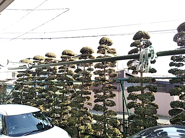 20/30 その他画像