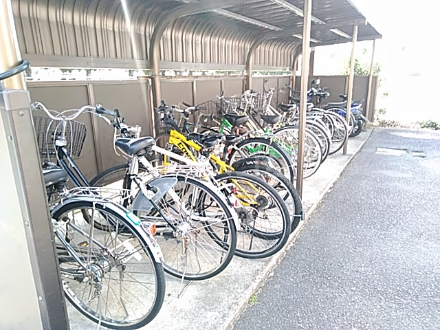 20/30 その他画像