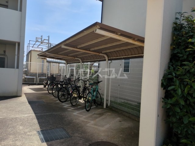 20/30 その他画像