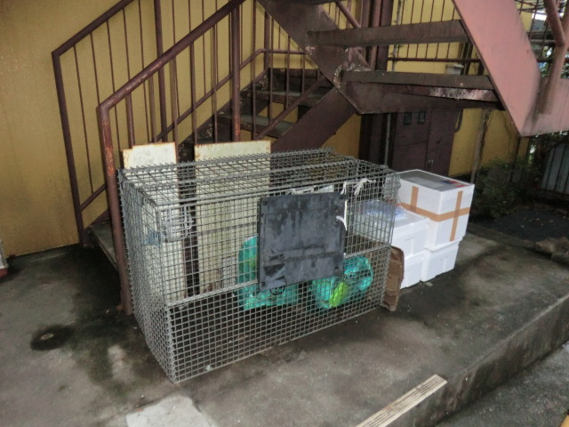 18/29 その他画像