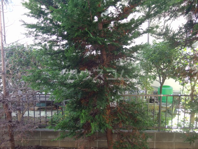 17/30 その他画像