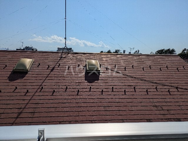 14/28 その他画像