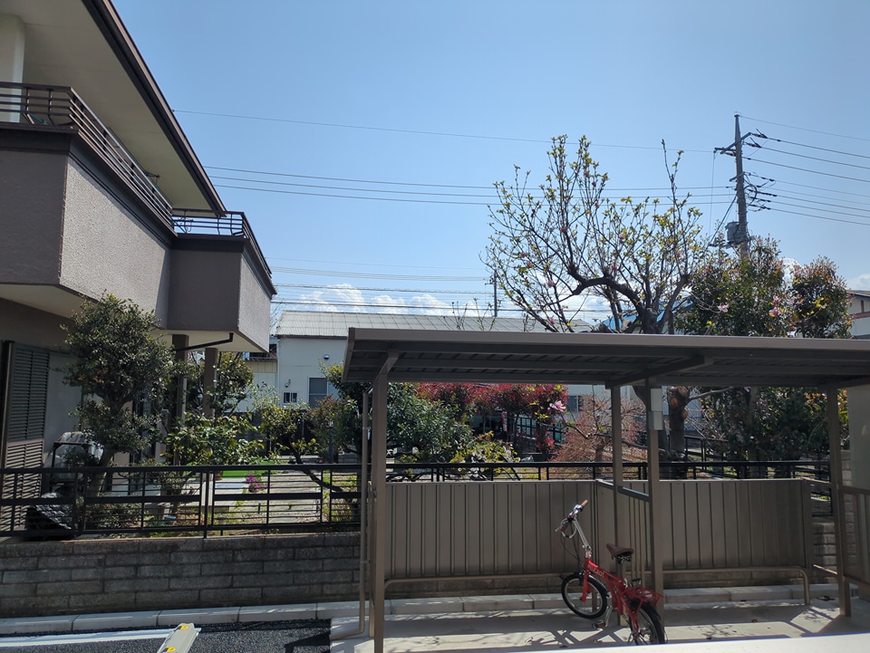 16/20 その他画像