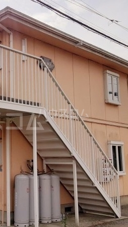 14/16 その他画像