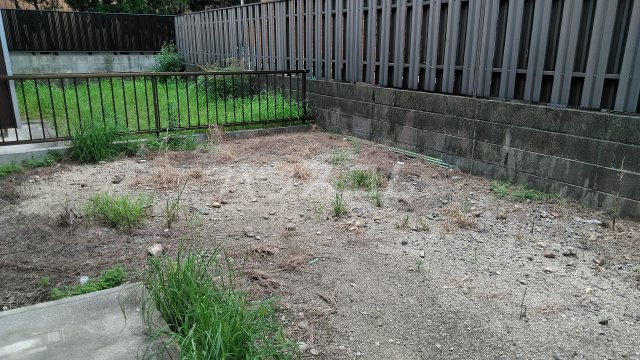 14/19 その他画像