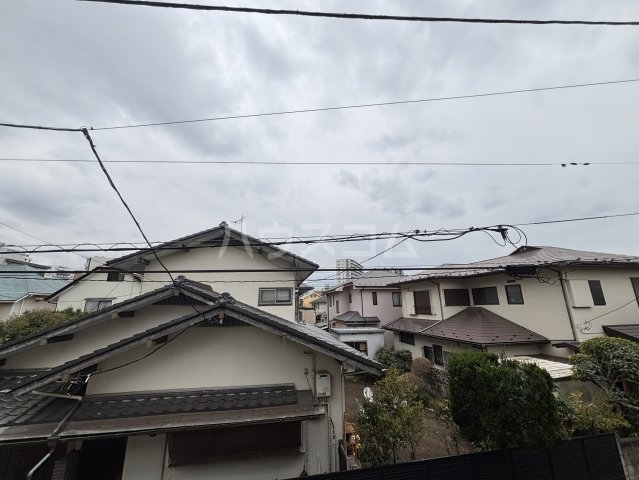 20/30 その他画像