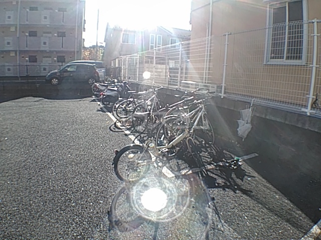 20/30 その他画像