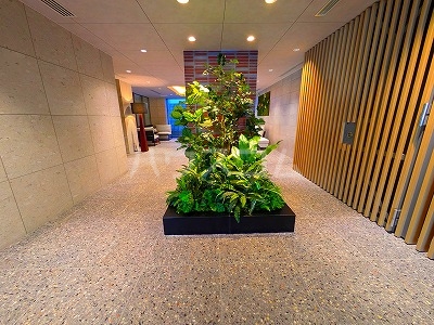 19/26 その他画像