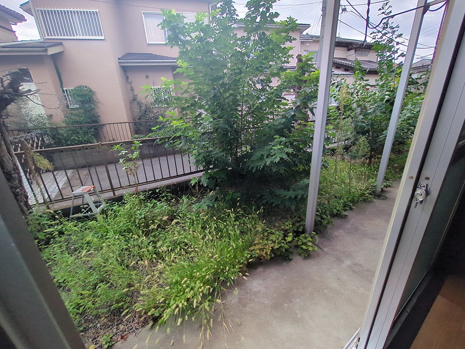 11/16 その他画像