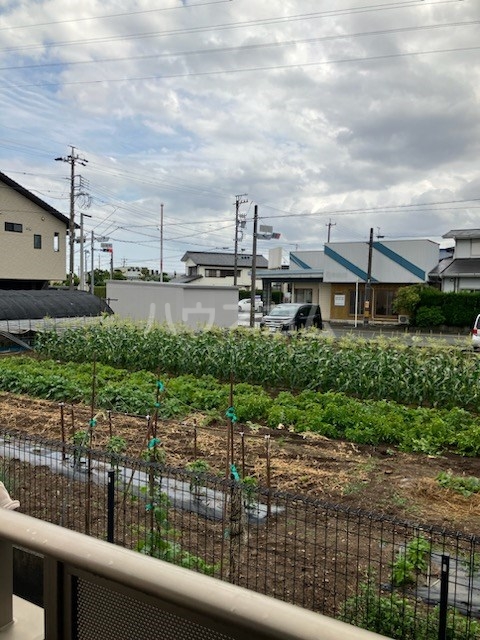 19/30 その他画像